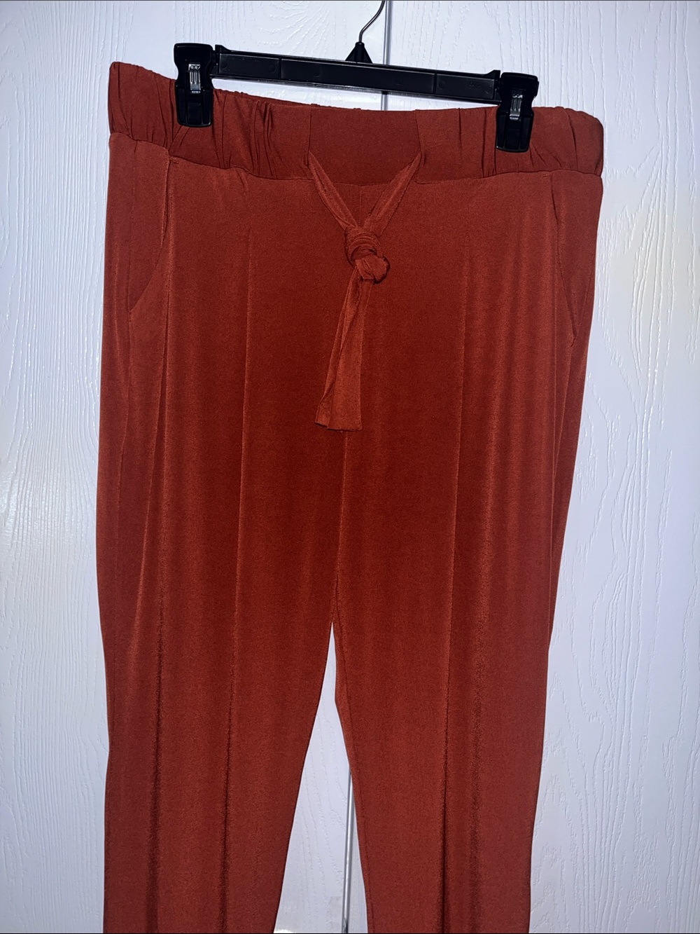 Express Rust Mid Rise Ankle Pants - Picture 2 of 7
